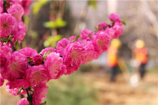 ��ҳ| ����(�й�����)�ٷ���վ