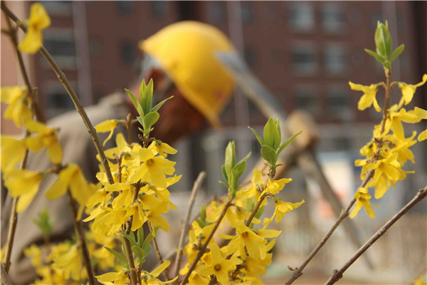 ��ҳ| ����(�й�����)�ٷ���վ